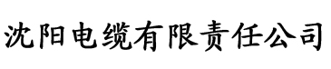 草莓视频污版在线播放电缆厂logo